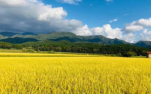 【令和8年産米先行予約】極みのササニシキ 精米 5kg×2袋 米 お米 おこめ 山形県 新庄市 F3S-2875