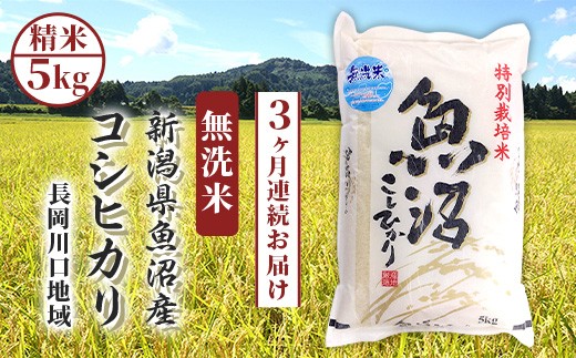 
                  H0-8M053【3ヶ月連続お届け】【無洗米】新潟県魚沼産コシヒカリ 特別栽培米（長岡川口地域）5kg
                
