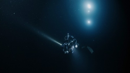 清水町ふるさと大使　海洋生物写真家　峯水亮氏による　作品パネル　Veliger larva（1Q5A2282_420）