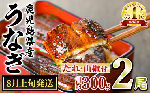 【0124314a-2508】＜8月上旬発送予定＞東串良町のうなぎ蒲焼(無頭)(2尾・計約300g・タレ、山椒付) うなぎ 高級 ウナギ 鰻 国産 蒲焼 蒲焼き たれ 鹿児島 ふるさと 人気【アクアおおすみ】