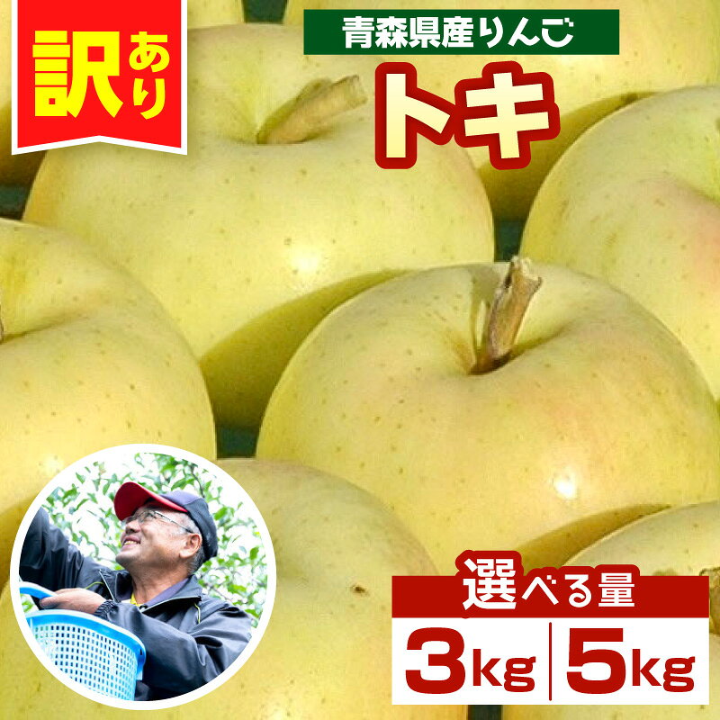 【ふるさと納税】 りんご 青森 トキ 訳あり (内容量が選べる 約 3kg / 5kg ) 農家直送 【 10月 中旬以降順次発送】とき ふるさと納税 傷 キズ ワケアリ フルーツ 林檎 リンゴ apple 送料無料 青森県 五所川原市
