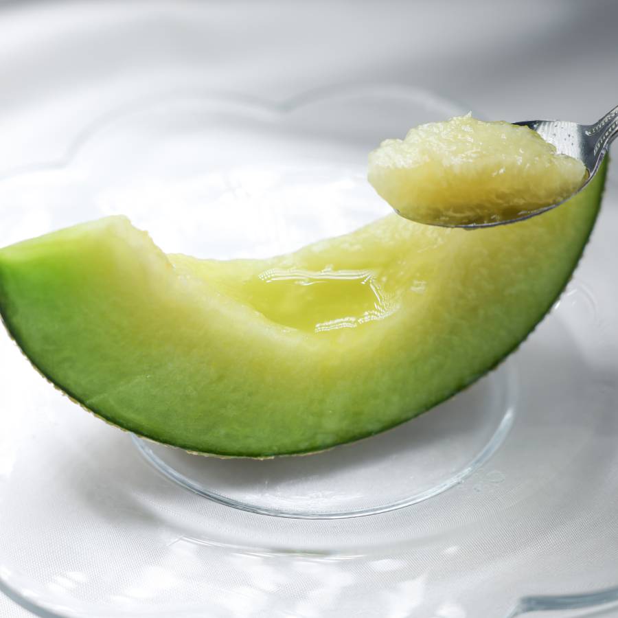 ＜山一ファーム＞旬の時期にお届け 茨城県産 2種のメロンの定期便A