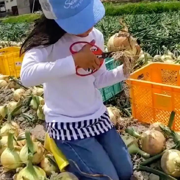 【新玉予約！】中山さんちから直送 淡路島たまねぎ10㎏　◆R9.3月下旬～発送