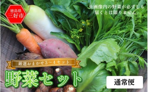 野菜 おまかせ セット 3～4種 旬の野菜 詰め合わせ 1回便 季節の野菜 旬野菜 やさい サラダ 鍋 煮物 おでん 野菜炒め 新鮮 徳島県産 食品 グルメ 贈り物 ギフト 送料無料 徳島県 三好市 みよし 篠原農園