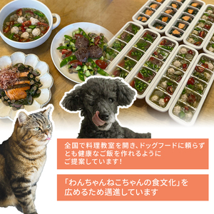 チキンボーンブロス 100g×5袋 栄養補完食 ドッグ キャット 犬 猫 無添加 グルメ 食べやすい ミンチ ドックフード キャットフード ペットフード 福知山市 京都