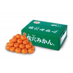 真穴みかん 【サイズおまかせ】 5kg【D43-5】_美味しいみかん 美味しいミカン おいしいみかん おいしいミカン 人気のみかん 人気のミカン 国産みかん 国産ミカン 八幡浜みかん 八幡浜ミカン 甘いみかん 甘いミカン あまいみかん アマイミカン 果物みかん くだものみかん 果物ミカン クダモノミカン 美味しい真穴 美味しいマアナ おいしい真穴 おいしいマアナ 人気の真穴 人気のマアナ 国産真穴 国産マアナ 八幡浜真穴 八幡浜マアナ 甘い真穴 甘いマアナ あまい真穴 アマイマアナ 果物真穴 くだもの真穴 