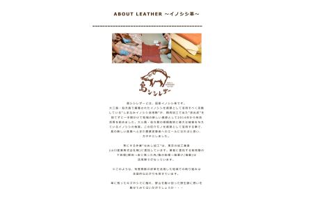 大三島シシレザー財布・ワイルドキーホルダーセット（上浦町） [VE00660]