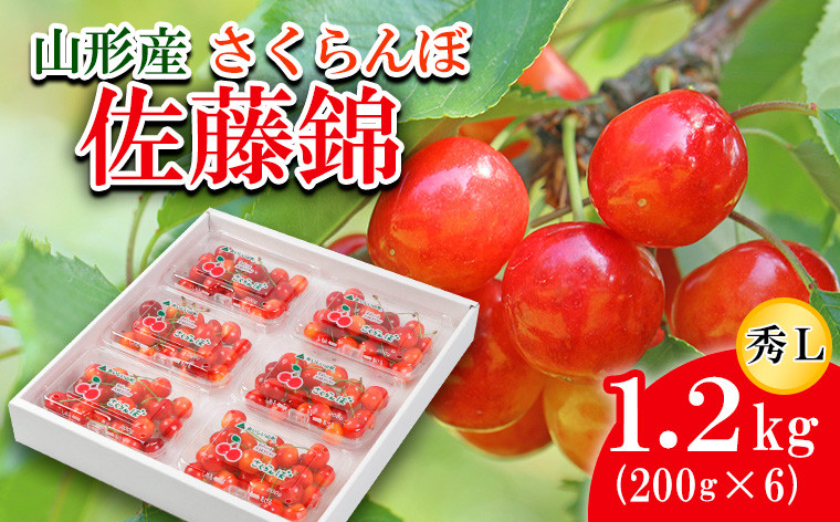 
            さくらんぼ 佐藤錦 Ｌ(200g×6) 【令和7年産先行予約】FU21-818 くだもの 果物 フルーツ 山形 山形県 山形市 2025年産
          