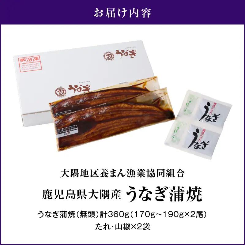【期間・数量限定】鹿児島県大隅産 うなぎ蒲焼 2尾（360g）　KN007-002-04-cp 魚 鰻