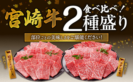 畜産農家応援! 宮崎牛焼肉2種セット250g×2パック+豚肉ハンバーグ100g×4個_13-N202-ESH_(都城市) 赤身 霜降り 食べ比べ 肩ロース ウデ モモ 焼き肉 牛肉 とろける BBQ 