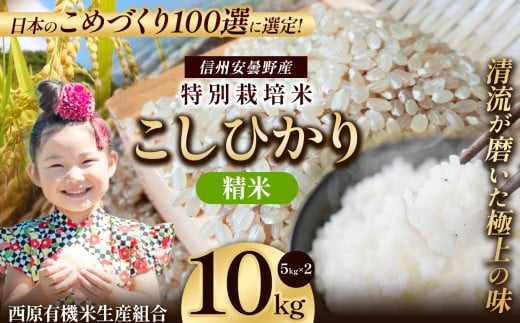 特別栽培米 松川村産 こしひかり 精米 約10Kg | 米 こめ コメ お米 白米 はくまい 精米 コシヒカリ こしひかり 特別栽培米 長野県 松川村 信州