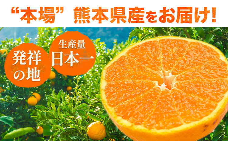 不知火 ご家庭用 デコみかん 約5kg 12〜24玉前後《2026年2月上旬-4月末頃出荷》フルーツ 柑橘 みかん デコポン（不知火）と同品種 熊本県産 熊本県 長洲町 訳あり