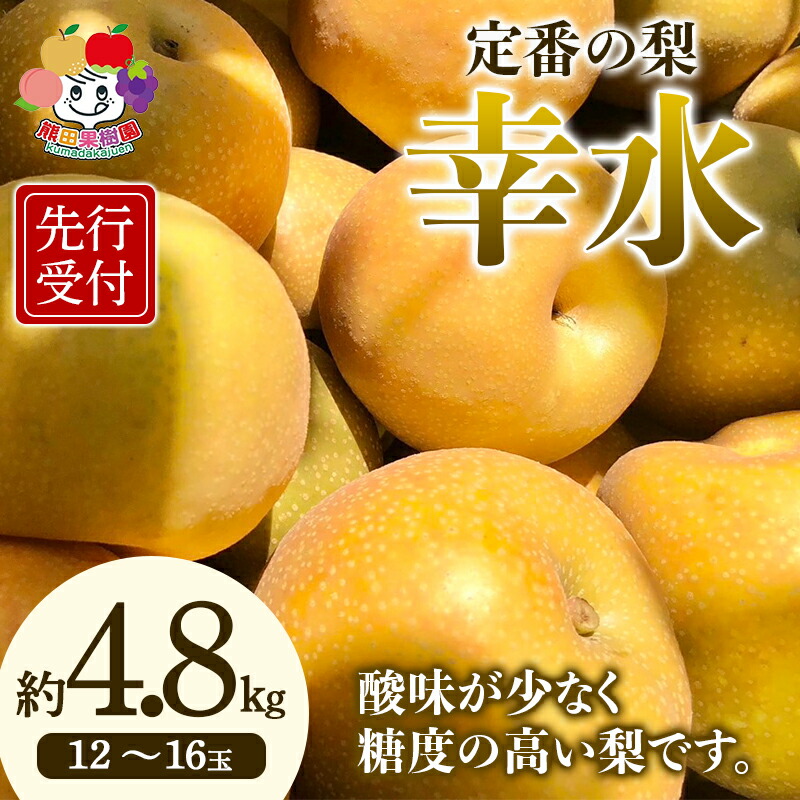 ＜先行予約＞定番の梨 幸水 約4.8kg（12～16玉） F21R-883