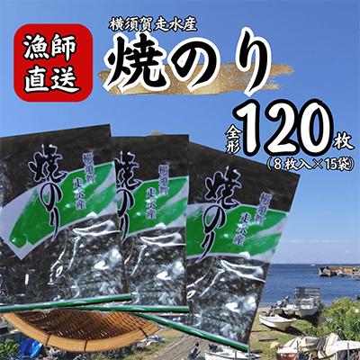 ふるさと納税 横須賀市 【訳あり】欠け　海苔 全形8枚×15袋(全形120枚) 漁師直送 上等級 焼海苔