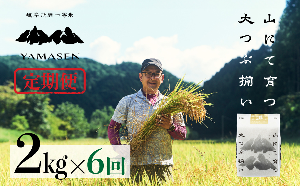 （新米）令和6年産米【定期便】山仙（いのちの壱）2kg×6回 すがたらいす 下呂市金山産 2024年産 毎月 2キロ×6カ月 お米 精米 下呂温泉 下呂市 米 ブランド米【51-I】 （定期）山仙（い