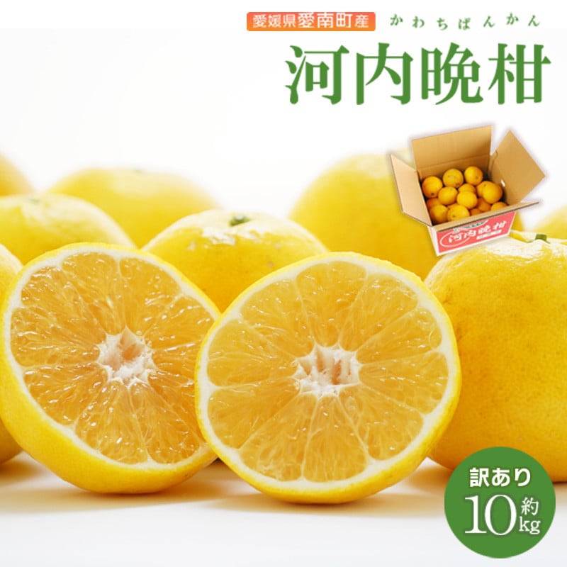 
            訳あり 河内晩柑10kg みかん 蜜柑 柑橘 かんきつ mikan かわちばんかん 家庭用 期間限定 数量限定 不揃い サイズミックス フルーツ 果物 くだもの 和製 グレープフルーツ ジュース 果肉 果汁 産地直送 農園直送 国産 愛媛県 愛南町 尾上農園
          