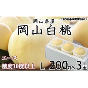 2026年  岡山   白 桃   エース 3玉×約200g（Lサイズ）JAおかやま（早生種・中生種）｜ 桃　