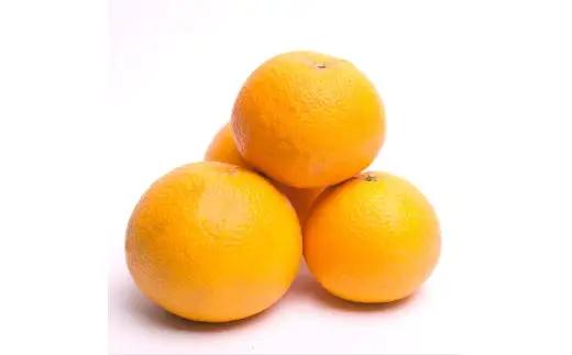 厳選はっさく10kg+250g（傷み補償分）/ 晩柑 柑橘 フルーツ 新鮮 苦味 コク 農家直送 ジューシー みかん 和歌山 果汁   八朔みかん ハッサク 密柑 くだもの ※2027年1月〜4月下旬