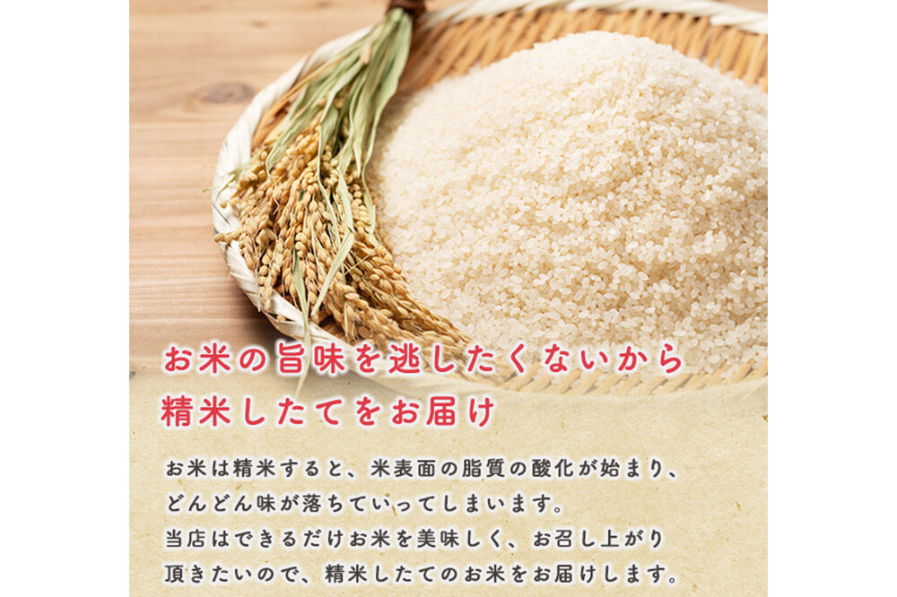《定期便6ヶ月》令和7年産 新米【備蓄米 無洗米】秋田県産 あきたこまち 20kg（2.5kg×8袋）|23_kml-042006_イメージ3