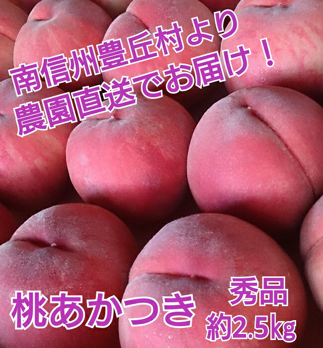 【ふるさと納税】アグリスタくましろのあまーい桃『あかつき』約2.5kg　＜2025年7月中旬～7月下旬発送予定＞