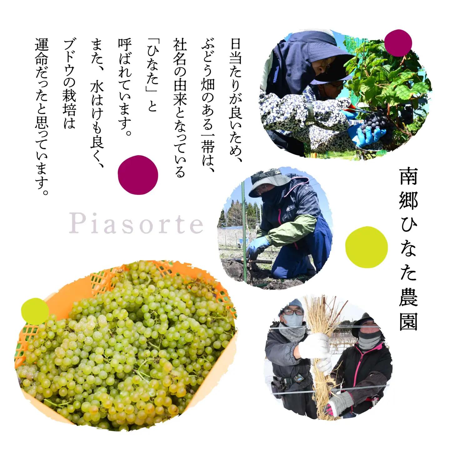 南郷ひなた農園 日本ワイン ピアソルテ シャルドネ2023 750ml × 1本 青森県 八戸市