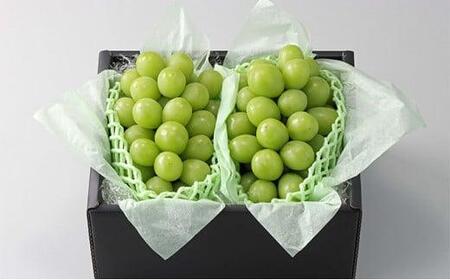 シャインマスカット 2房 合計約1.0kg ｜ シャインマスカット