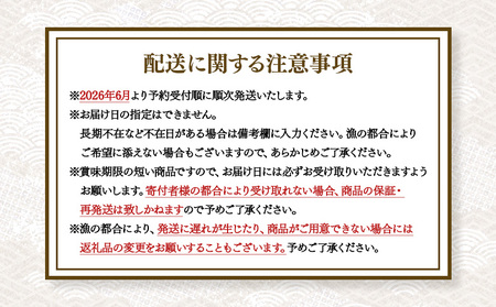 【北海道 天売島産】 ★2026年先行予約★ 天然 キタムラサキうに 塩水パック 100g×1パック【31001】