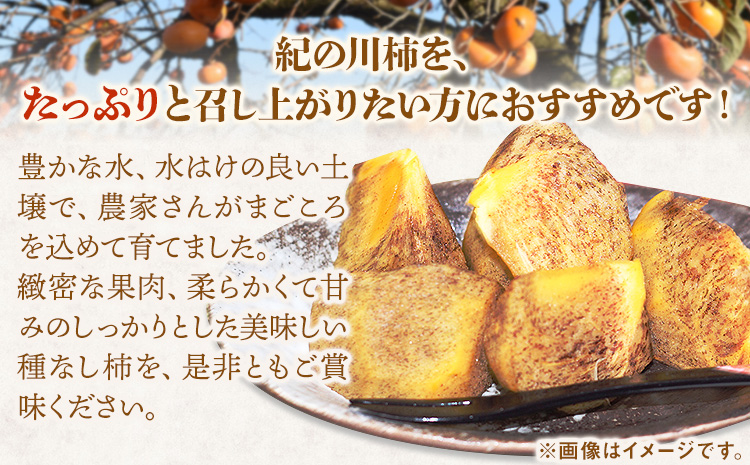 希少紀の川柿約3.5kg（種無し）【2026年先行予約】秀選品(玉数おまかせ)厳選館《2026年11月上旬-11月中旬頃出荷》柿カキジューシーフルーツ---wsh_gsk167_11j11c_25_1