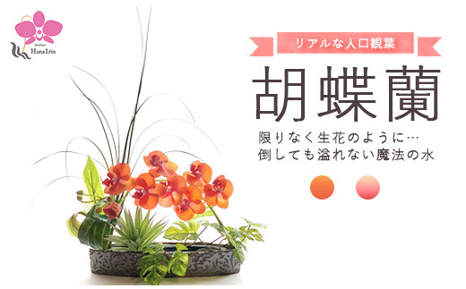 
                  胡蝶蘭 観葉植物 人工 花 【草月流師範免許取得者所属】＼花一凛オリジナルデザイン／『選べるカラー』 光触媒 生花 のようなデザイン 祝い プレゼント ギフト 誕生日 バレンタイン ホワイトデー 母の日 父の日 お中元 敬老の日 お歳暮 クリスマス Artis Phalaeno アーティスファレノ 神奈川 相模原 アトリエ 花一凛 ※北海道・沖縄・離島への配送不可
                