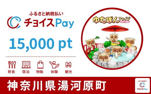 
                  湯河原町チョイスPay 15,000pt【会員限定のお礼の品】
                
