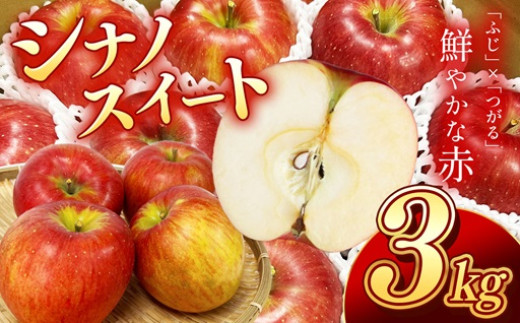 香りも良く食べやすい!長野県産シナノスイート(約3kg)秀品〈2025年10月中旬～10月下旬発送〉| 果物 くだもの フルーツ りんご リンゴ 林檎 長野県 信州 南信州 飯田市