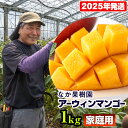 【ふるさと納税】【2025年発送】なか果樹園　家庭用　アーウィンマンゴー1kg