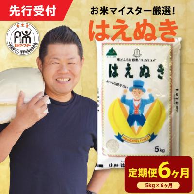 ふるさと納税 米沢市 【 6ヶ月定期便 / 令和7年産】 はえぬき5kg