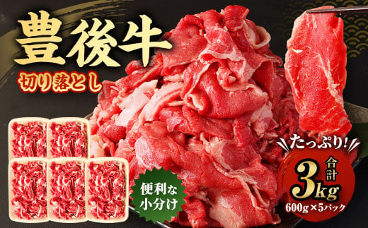 
豊後牛 切り落とし 合計約3kg (約600g×5パック) 牛肉 国産 大分県産
