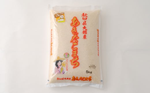 【令和7年産】秋田県大館産あきたこまち10kg(5kg×2)　180P9022
