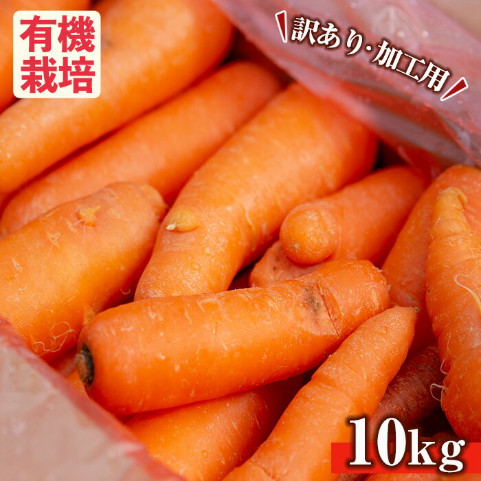 【ふるさと納税】≪内容量選べる・訳あり≫湧水町産有機にんじん(約5~10kg) 国産 九州産 鹿児島産 有機野菜 有機栽培 にんじん 人参 ニンジン キャロットジュース 野菜 やさい おかず 旬 わけあり 訳アリ 不揃い 規格外 期間限定 数量限定 オーガニック 健康【そのやま農園】