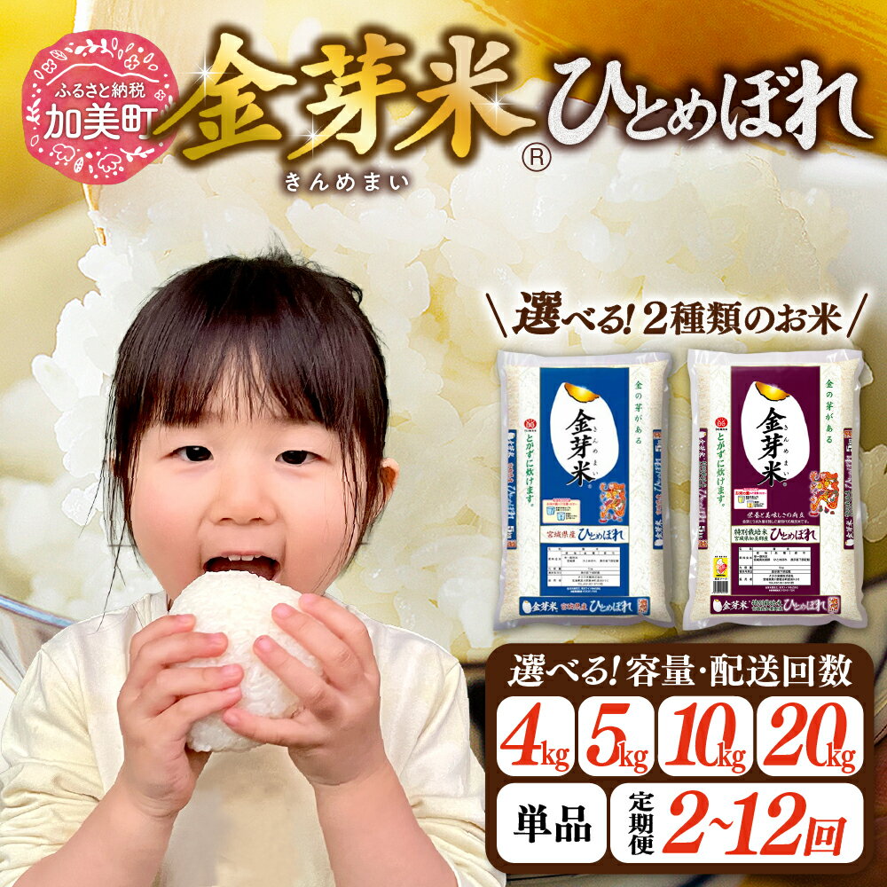 【ふるさと納税】 金芽米 無洗米 米 4kg 5kg 10kg 20kg 《選べる定期便 2〜12回》 令和7年 お米 加美産 宮城県産 ひとめぼれ 特別栽培米 [ 宮城県 加美町 km-km-knm ] きんめまい お米 こめ コメ 白米 玄米 ヒトメボレ ロウカット 3ヶ月 6ヶ月 12ヶ月