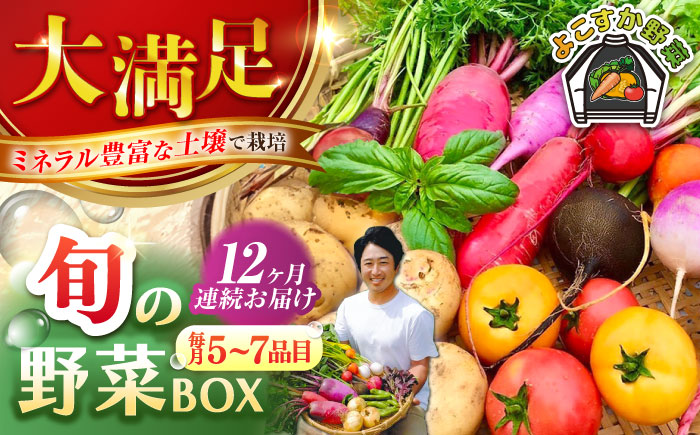 【全12回定期便】すずなり採れたて野菜BOX（5～7品目）【鈴也ファーム】 [AKCE004]