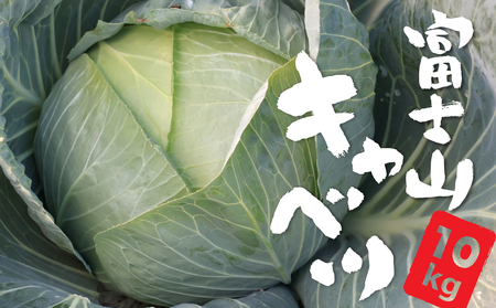 【2026年出荷分先行予約】富士山キャベツ　８玉　9kg