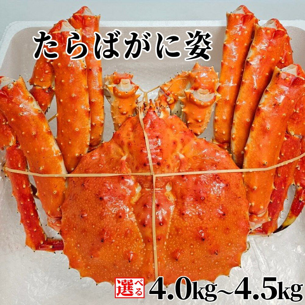 【ふるさと納税】たらばがに姿 | 選べる たらばがに タラバガニ かに カニ 蟹 姿 特大 4キロ超 4.0kg 4kg 4.5kg グルメ プレゼント ギフト ふるさと納税 納税 北海道 紋別市