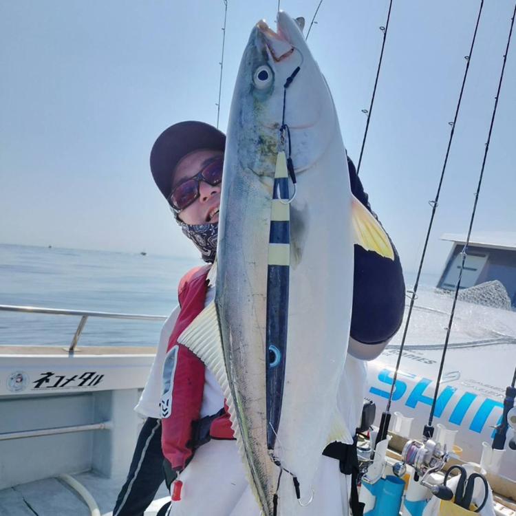 フィッシングマックスが開発する、完全現場視点のルアーブランド「AZZURRO」の、スロージギング対応 青物タチパターン『絶叫！ウォータースライダー系メタルジグ！』「ルンゴスライダー250g」2本セット