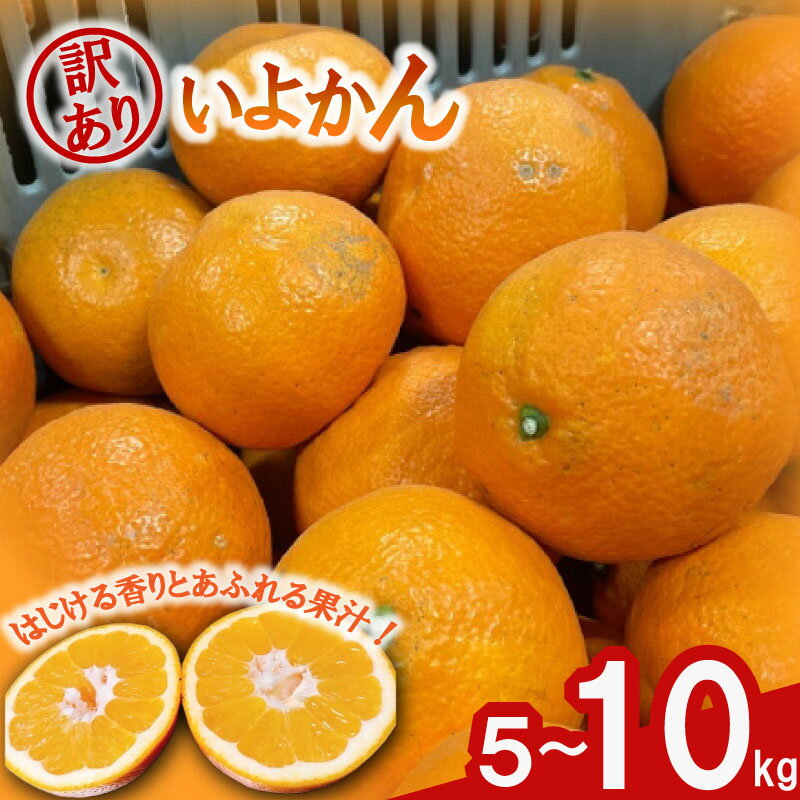 【ふるさと納税】 【先行予約】 訳あり みかん 伊予柑 5kg / 10kg 【1月中旬~発送予定】 | みかん ミカン 蜜柑 mikan 柑橘 いよかん イヨカン ワケアリ 家庭用 ふるさと納税みかん ふるさと納税訳ありみかん フルーツ 果物 愛媛県 松山市 送料無料