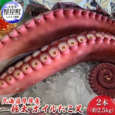 ふるさと納税 厚岸町 【北海道厚岸産】超極太ボイルたこ足 2本(計2.5kg) 刺身&amp;調理用＜お好きなサイズにカット可能＞