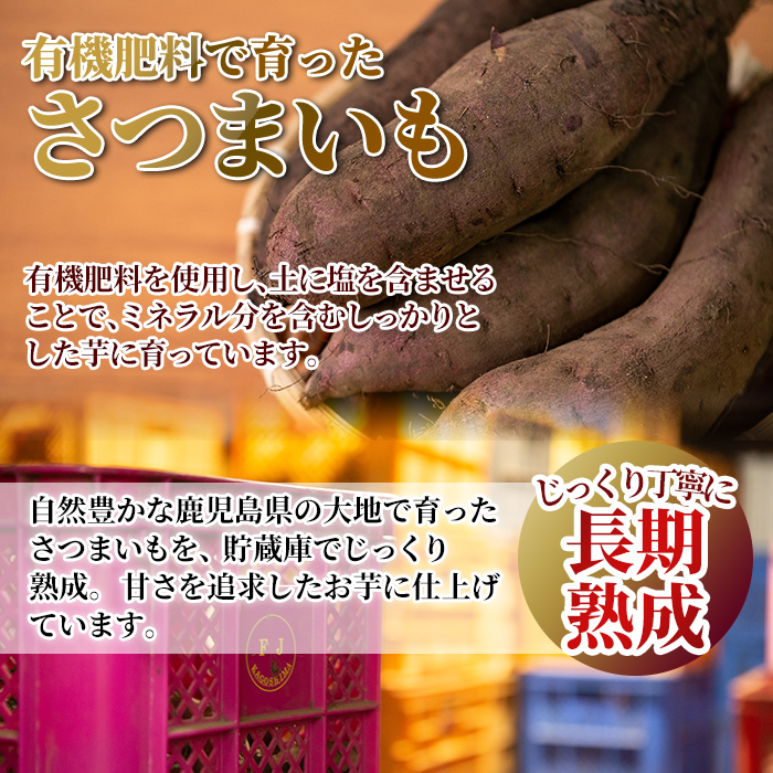 A-180 薩摩あま蜜完熟焼き芋＜紅はるか＞2.0kg【フレッシュジャパン鹿児島】