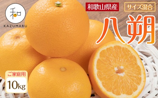 
                  家庭用 森本農園の手選別 八朔 約10kg 和歌山県産 サイズ混合 ［北海道・沖縄・離島配送不可］［2026年1月中旬から発送予定］［RN117］★
                
