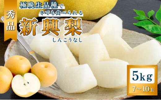 
                  日本なし 新興（5kg秀品7～12玉） 梨 なし ナシ 大玉 フルーツ 果物 5kg 7玉 8玉 9玉 10玉 12玉産地直送 新潟市産 新潟 
                