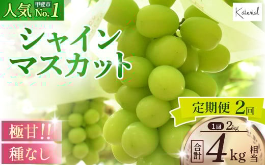 【2025年分発送】 定期便 シャインマスカット 2.0kg相当×2回 先行予約 先行 予約 山梨県産 産地直送 フルーツ 果物 くだもの ぶどう ブドウ 葡萄 シャイン シャインマスカット 新鮮 人気 おすすめ 国産 贈答 ギフト お取り寄せ 甘い 皮ごと 甲斐市人気 山梨 甲斐市 AD-165