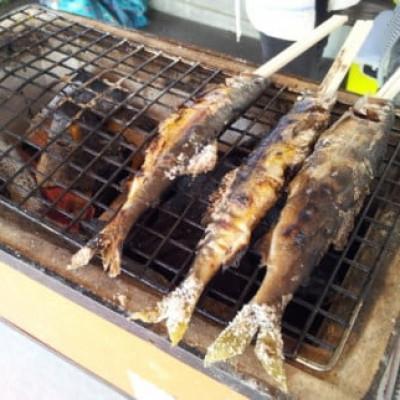 ふるさと納税 北川村 天然あゆ　【6月頃順次発送】 |  | 01