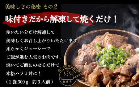【隔月３回定期便】やわらか 牛ハラミ（サガリ）肉 極旨秘伝醤油タレ漬け（300g×2袋）訳あり ハラミ 牛肉 個包装 焼肉 AS-497