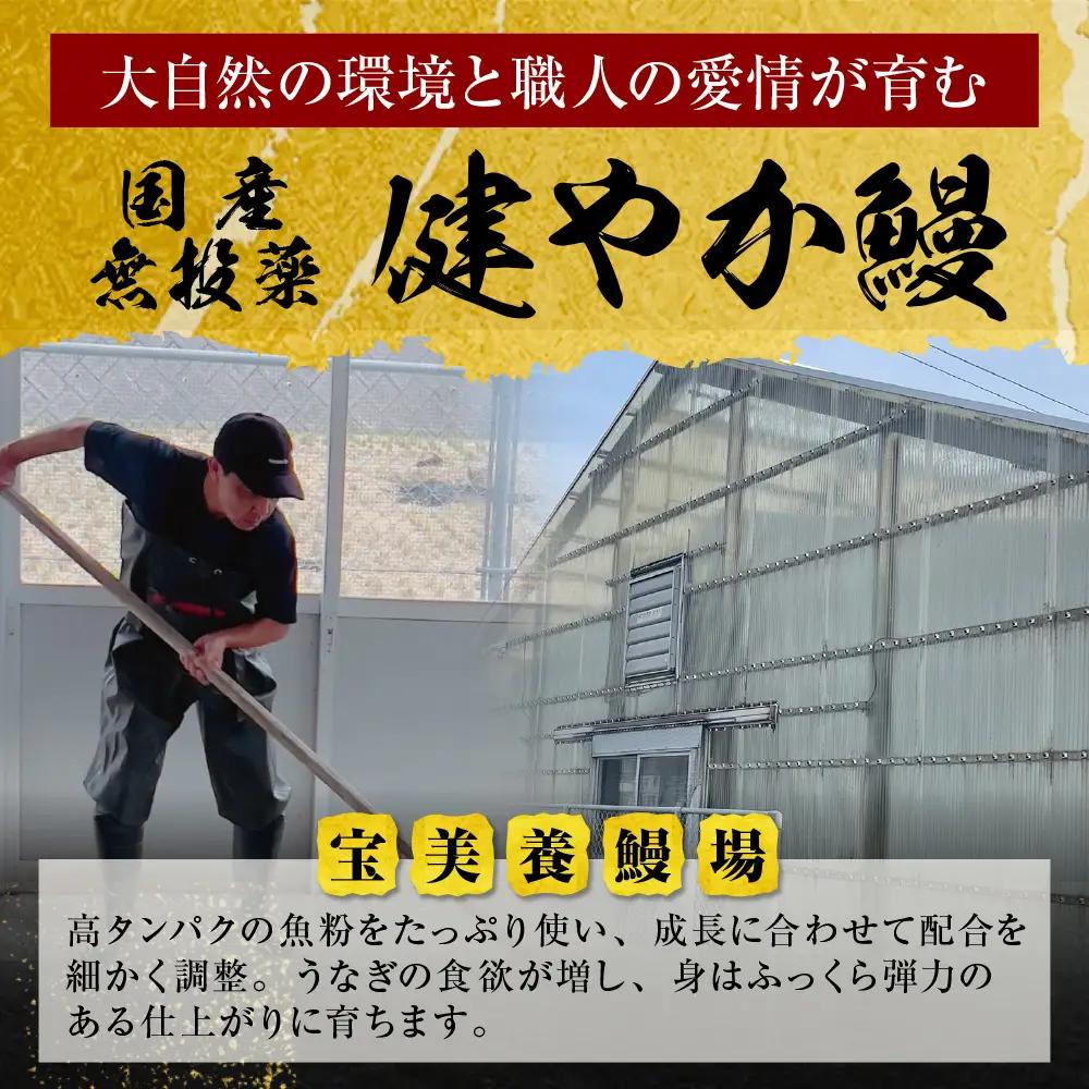 Z61-68F 【ふるなびWEEK対象】健やか鰻 国産うなぎ蒲焼（無頭）4尾（計620g以上） うなぎ